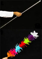 Cane to Feather Stick by Black Magic