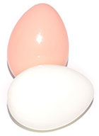 Plastic Egg, Brown Color