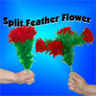 Split Feather Flower, 4