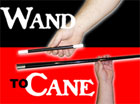 Wand to Cane