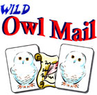 Owl Mail by Wild-Colombini