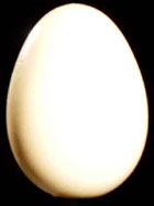 Wooden Egg, Single