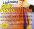 Lightning Silk Dream Production by Werry